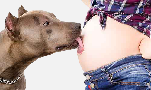 孕妇被狗咬了第一时间怎么处理,孕妇被狗咬了怎么办