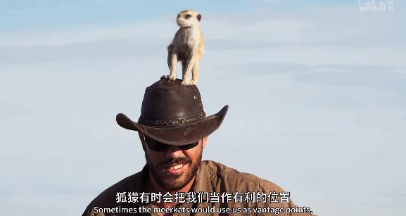 bbc纪录片最值得看的,bbc神级纪录片豆瓣评分超9