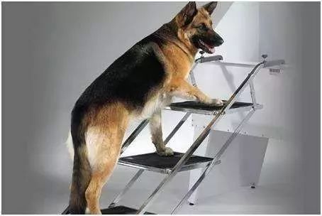 人生的裂变从第一套房子开始一套变二套二套到四套