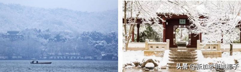 新加坡冻成狗,新加坡狂风暴雨来袭