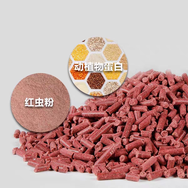 掌握钓鱼的技巧,掌握这几个野钓小技巧