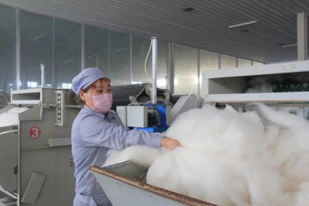 羊绒制品起源,中国羊绒历史简介