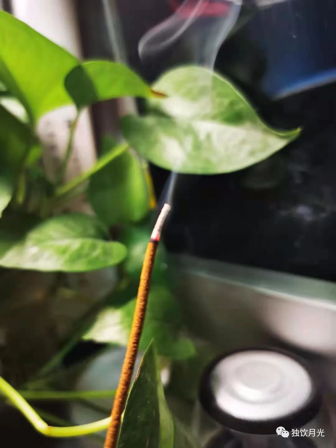 永言配命自求多福,永言配命自求多福赏析