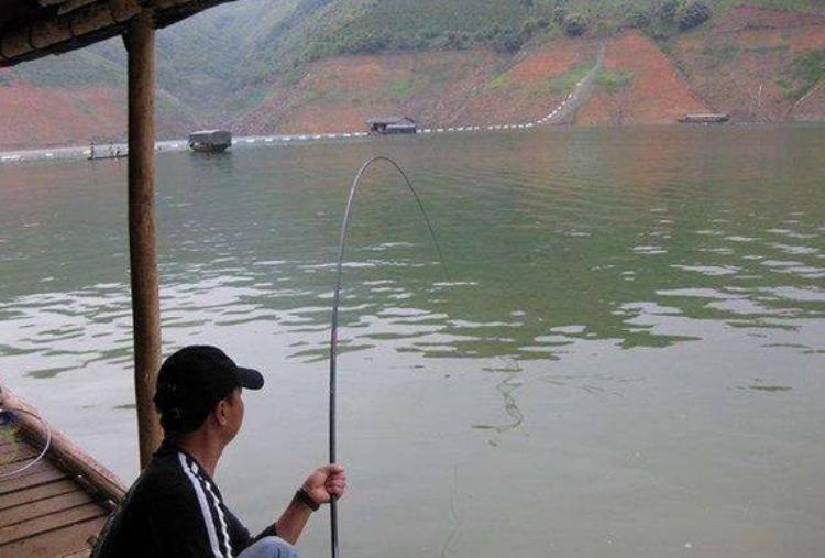 野外钓鱼怎样快速找到鱼窝鱼道,野外钓鱼如何选择窝料