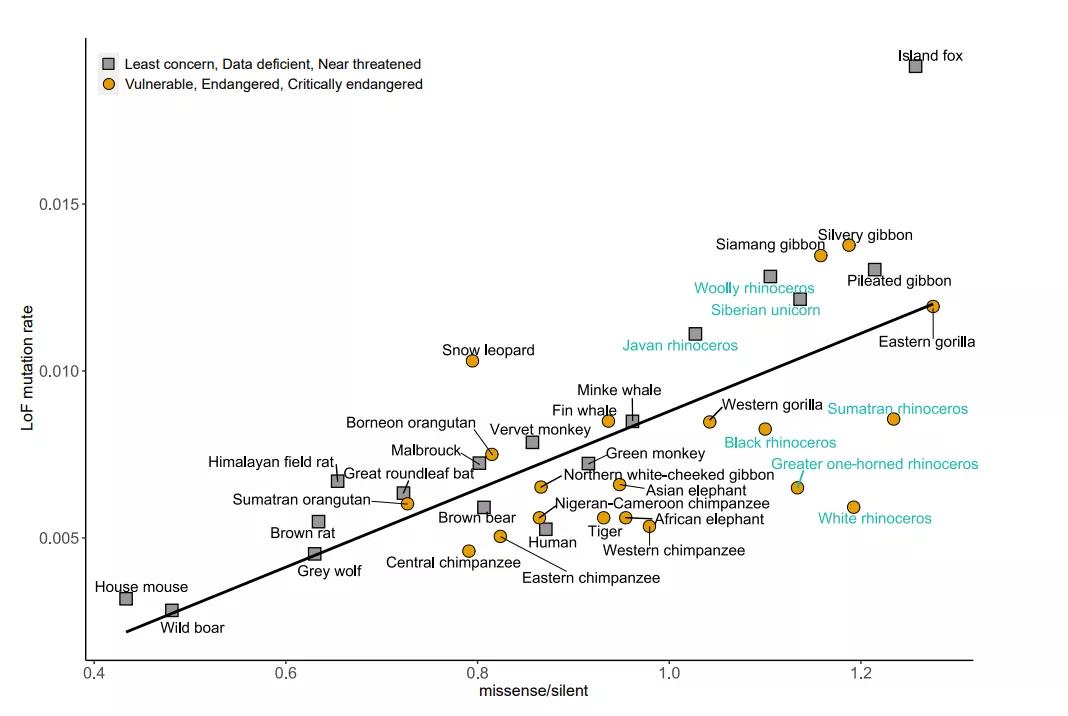 Cell|五万年前的DNA样品以及基因组大数据分析解析犀牛的演化历史