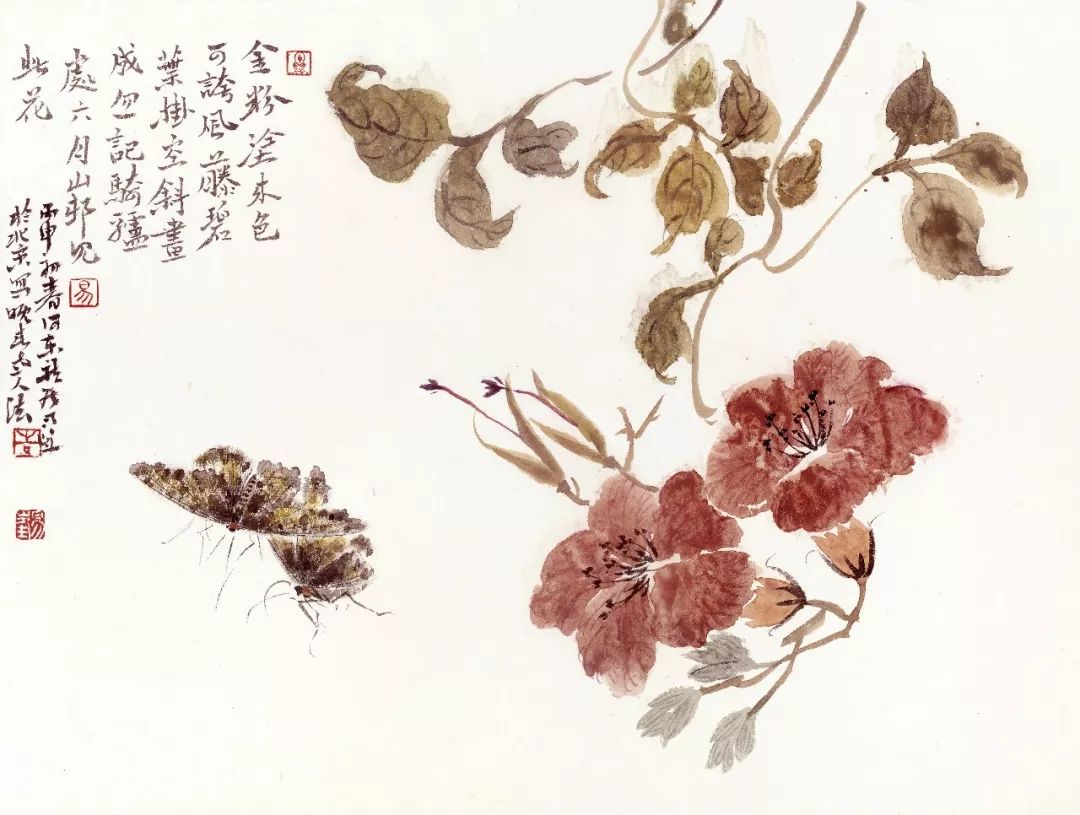 花卉好看的中国画,白描花卉临摹图片简单中国画