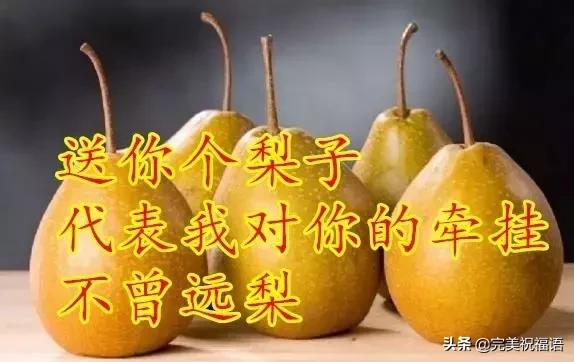 今日芒种愿所有付出都有收获,芒种种下祝福和希望