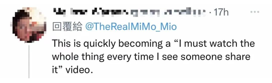 漂亮小奶猫喝奶,4只小奶猫吃豪华大餐