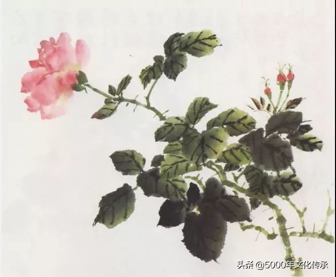 国画技法月季花写意画法详解,中国画写意月季花的详细画法