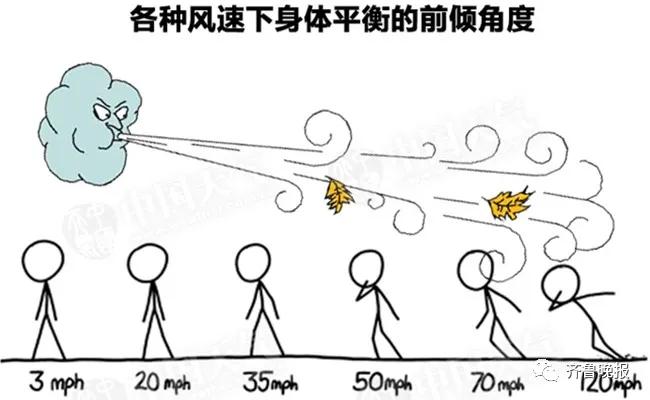 青岛10级大风人员伤亡,山东省青岛市大风预警