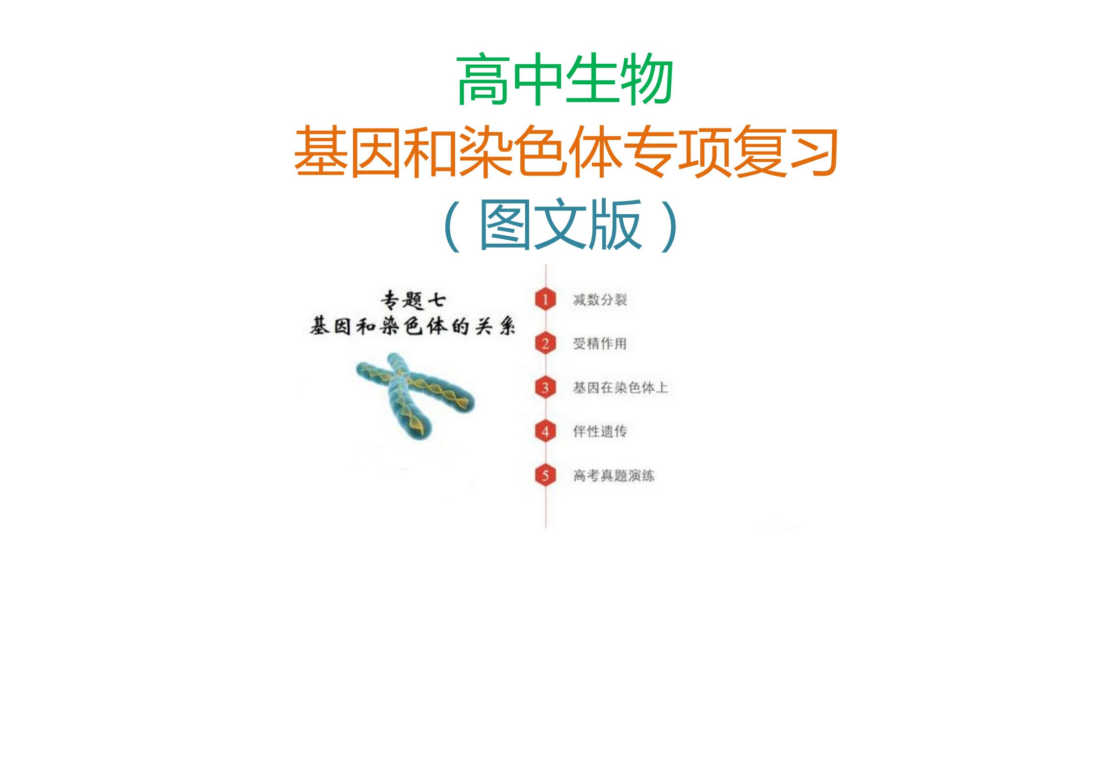 高中生物染色体变异知识点框架图,高中生物染色体知识点