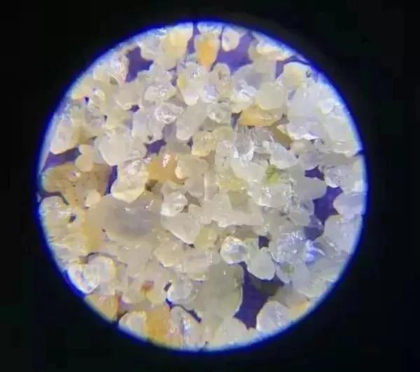 儿童显微镜下的微观世界,便携式儿童显微镜萌趣多