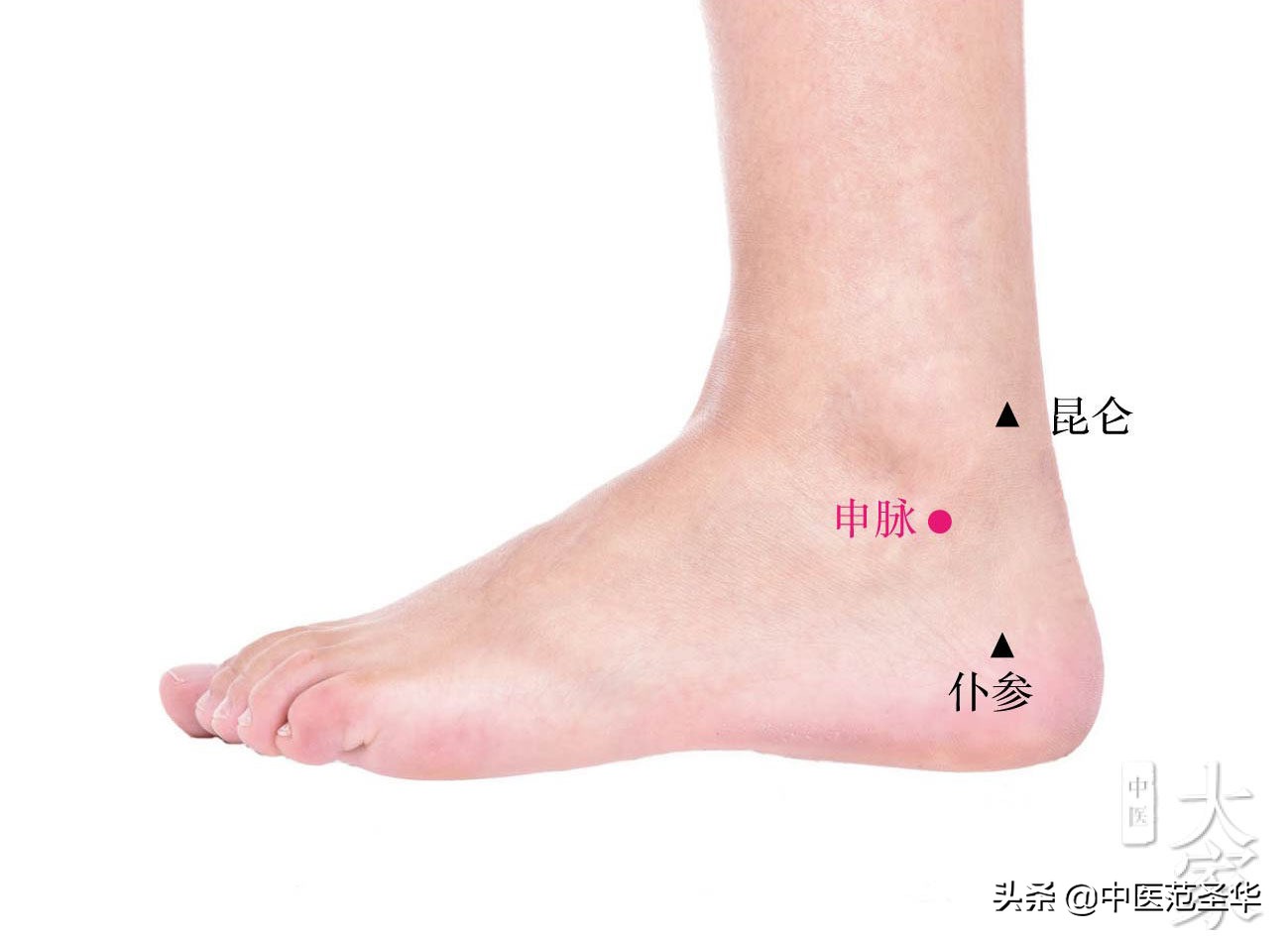 成人急性腹泻最快的治疗方法,急性腹泻预后