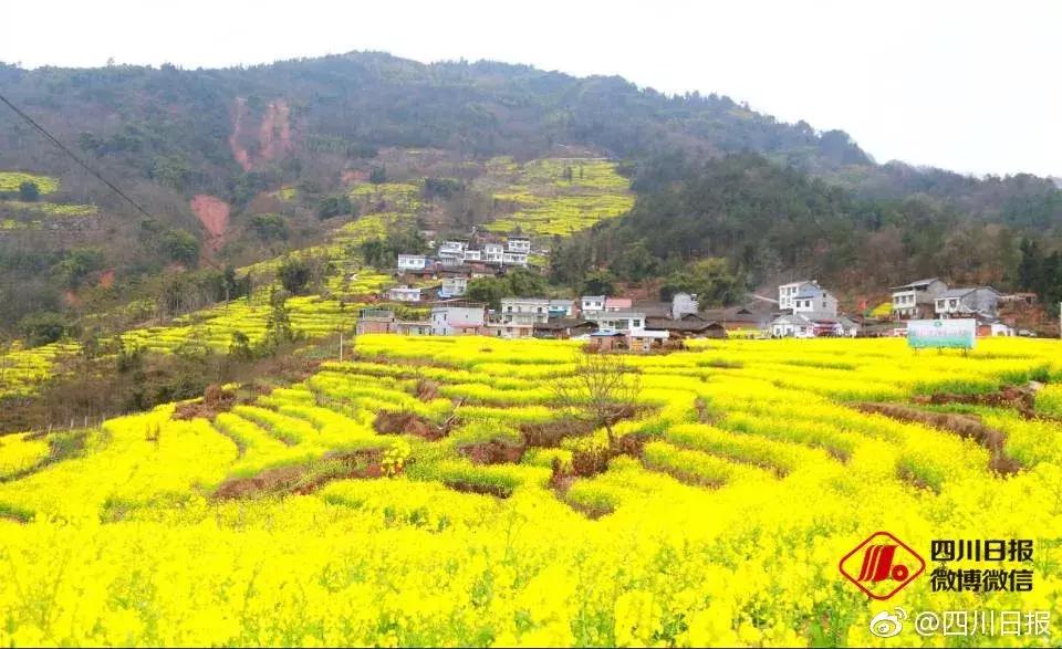 成贵高铁成都到宜宾线路图,成都到宜宾高铁6月10日能开通吗