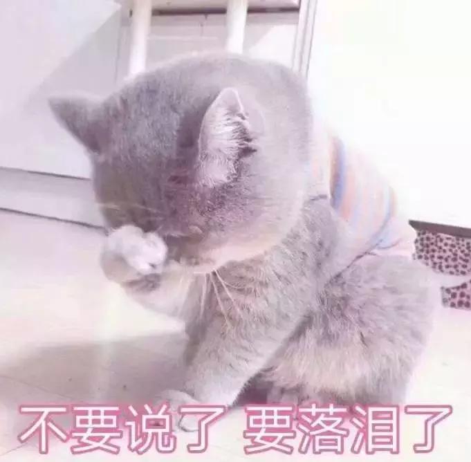 彭于晏带违规水果过海关被罚,彭于晏和荷兰弟