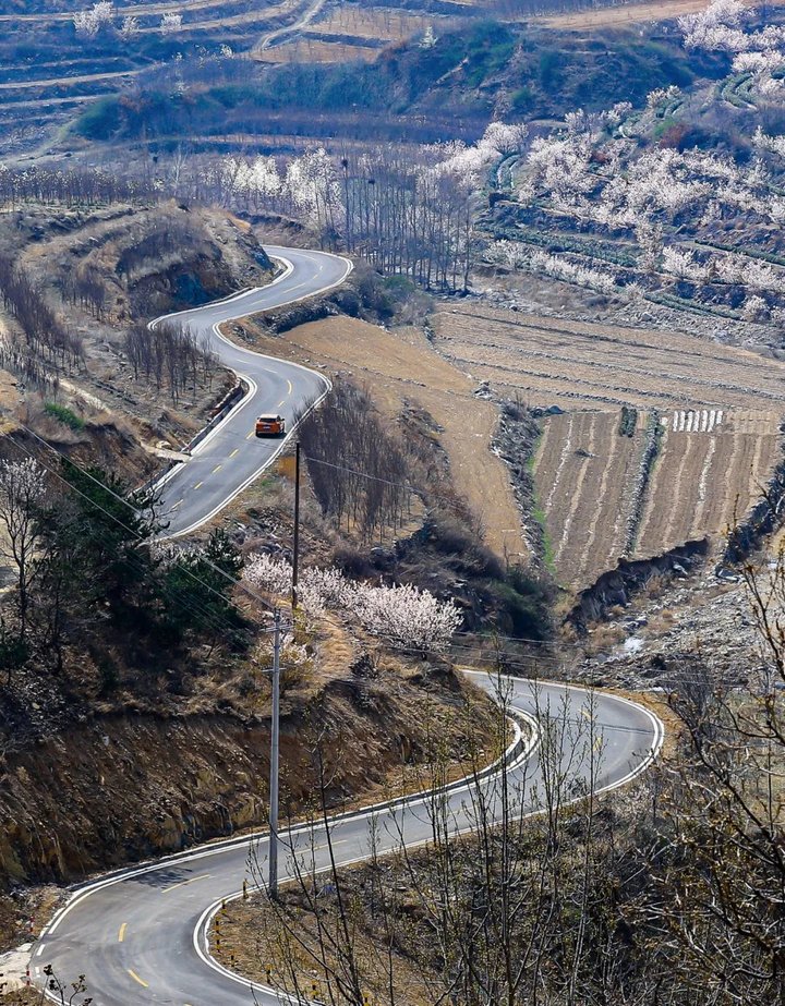 日照最美桃源,寻找最美春天日照惊艳全城