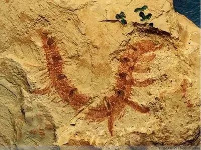 足不出门，在家逛遍中国55处世界遗产！（下）