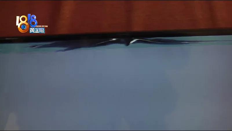 安装后显示无法验证完整性,安装屏幕感觉屏幕没下去