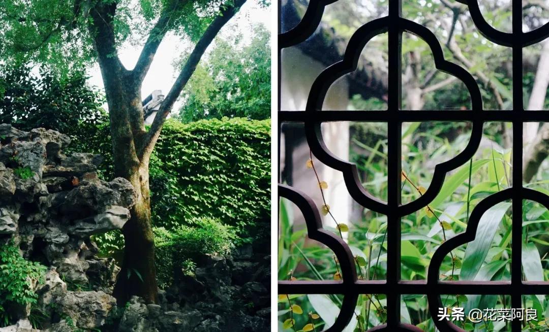 留园拙政园哪个景色好,留园和拙政园