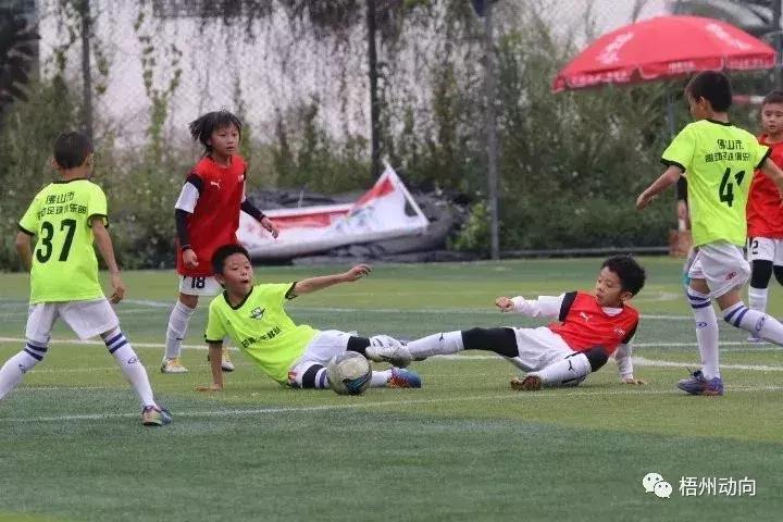 足球训练营公益,足球带给孩子们更多的快乐和成长