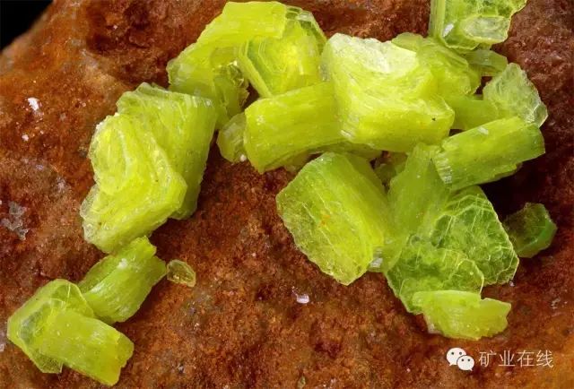 常见的矿物岩石有哪些,4种最常见于岩石里的矿物