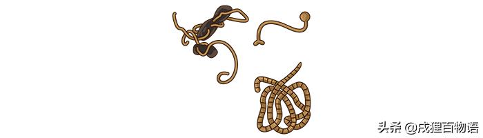 驱虫药吃了猫咪有什么反应,驱虫药吃多了猫咪嗜睡