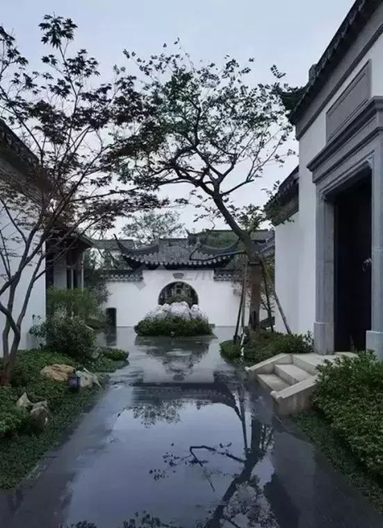 中国人的院子,中国人的院子深度解析