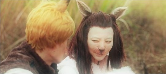 动物管理局的隐藏痛点,动物管理局详细分析