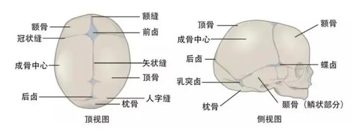 小孩头睡歪了用什么方法调整,婴儿头往右边歪应该朝哪边睡