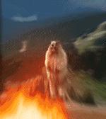 搜狗输入法错别字纠正,搜狗输入法输入错误如何一键纠正