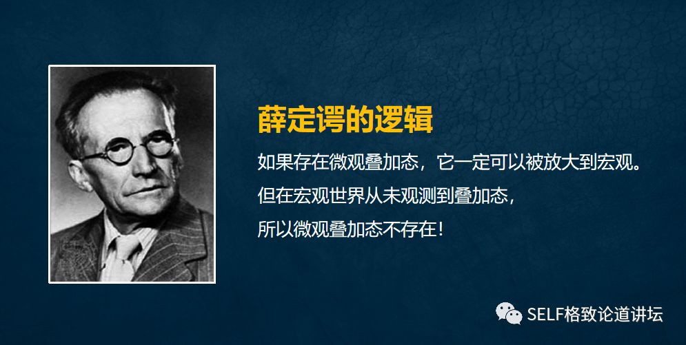 量子物理谜团薛定谔的猫已被破解 (量子计算机是否验证了薛定谔的猫)