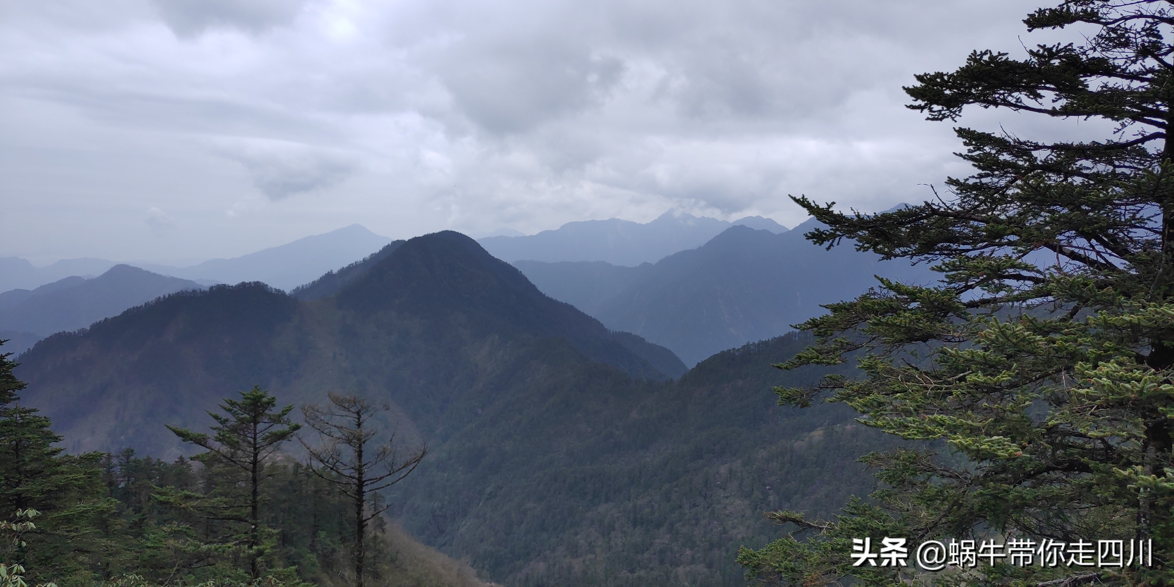 成都去西岭雪山两天一夜旅游团,成都出发雪山旅游