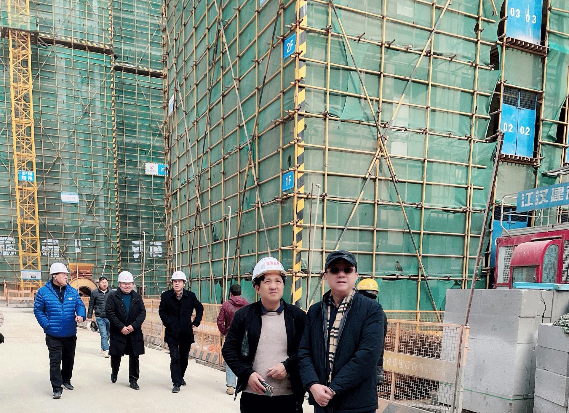 湖北省质量专家赴阳新开展省优结构工程核查