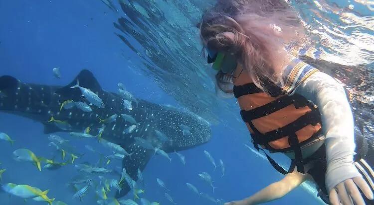 菲律宾自由潜水最好的地方,菲律宾旅游潜水