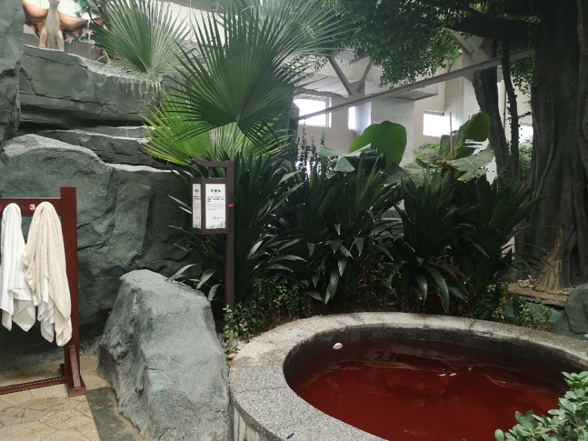 潍坊温泉有哪些,潍坊哪里有温泉