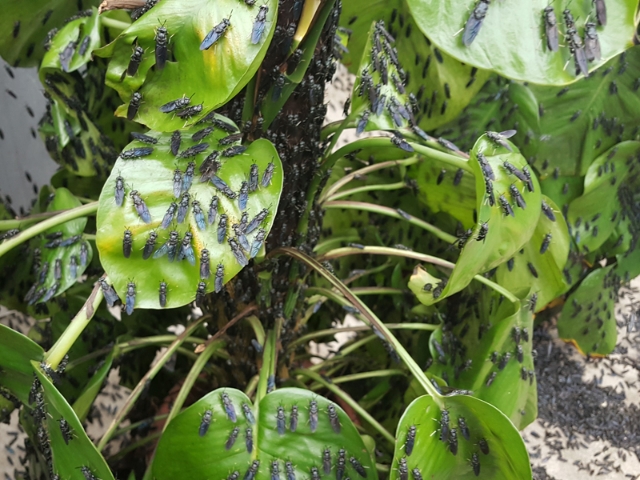 14岁因穷辍学,14岁家境贫寒辍学打工