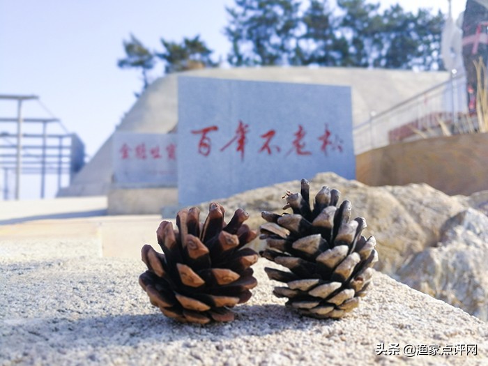 哈仙岛旅游攻略二日游,哈仙岛旅游攻略儿童