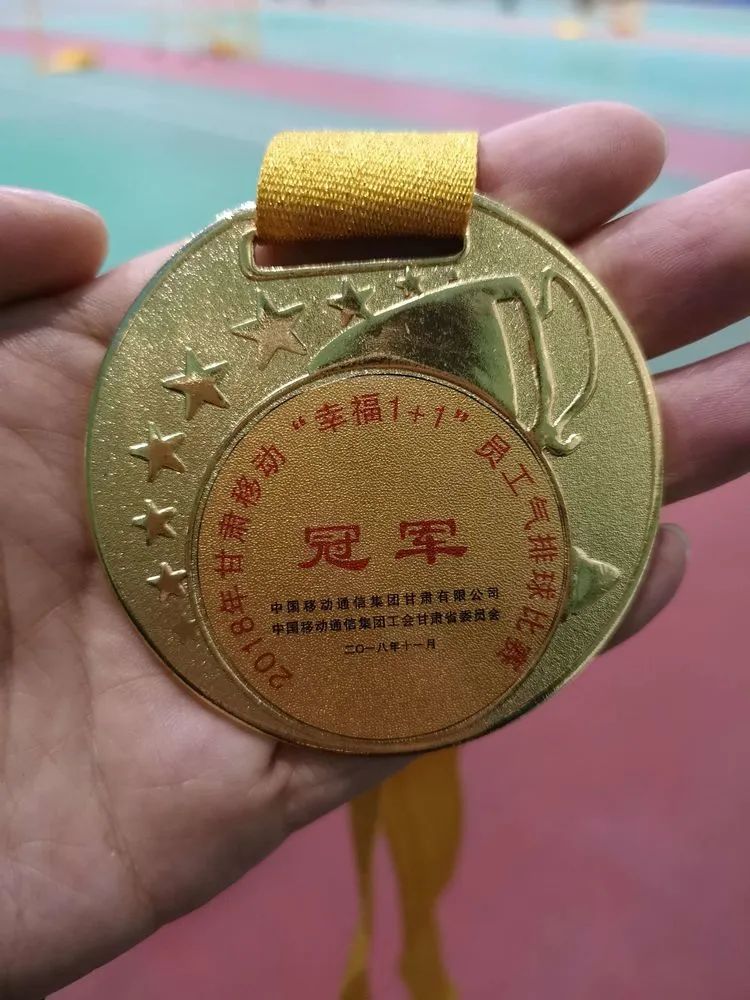 排球队的精神,排球队