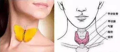 产后暴瘦对身体有害吗,产后抑郁暴瘦