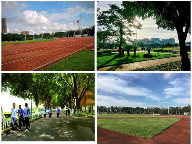 2021年中考深圳共有几所公办高中,深圳中考深圳高级中学