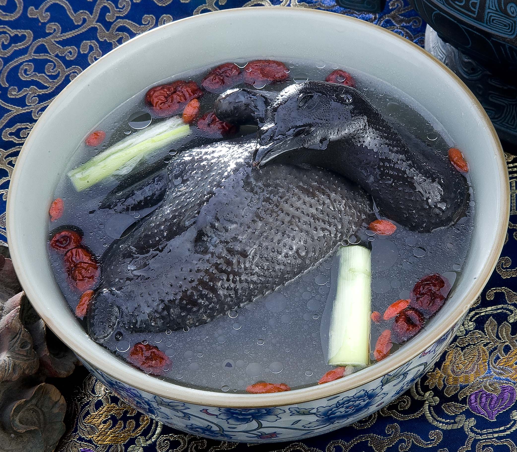 养殖2000只土鸡的成本与利润,怎么养土鸡赚钱