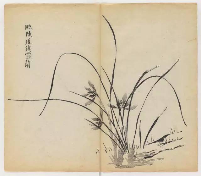 毛笔怎么画兰草,怎么画兰花和书法