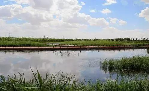 巴彦淖尔端午去哪里旅游最好,五一巴彦淖尔周边游玩地方推荐