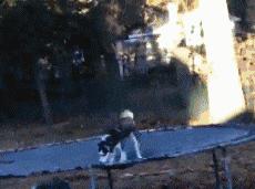 捡到了u盘里面会有什么,捡到一个u盘还好没有用