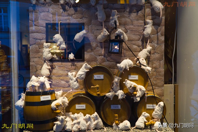 瑞士首都伯尔尼的介绍,瑞士首都伯尔尼旅游攻略