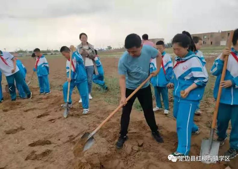 以爱育爱共筑梦想——定边县红柳沟镇学区发展纪实