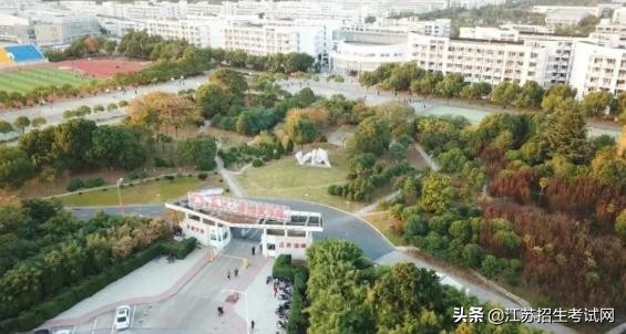 你可能还不知道，苏大文正有多好