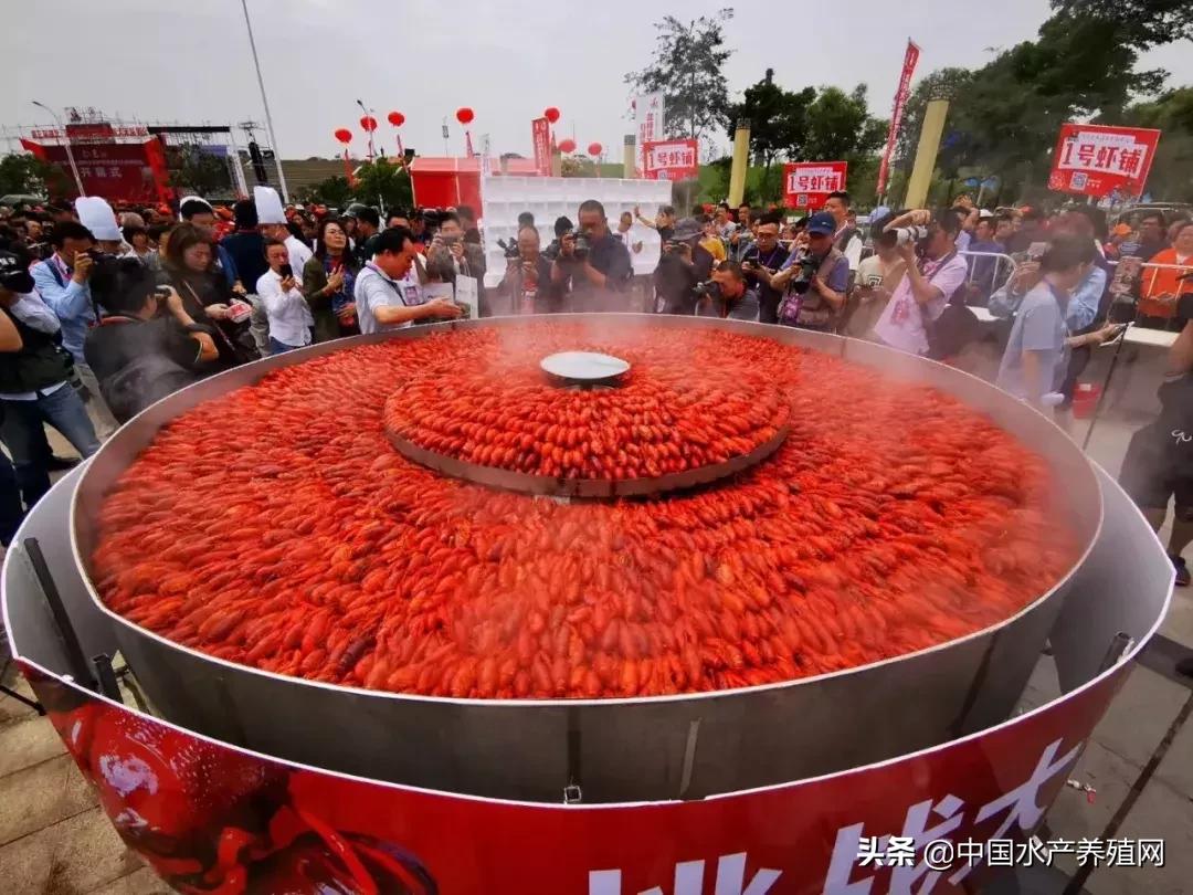 潜江稻田小龙虾产量,虾稻米产量