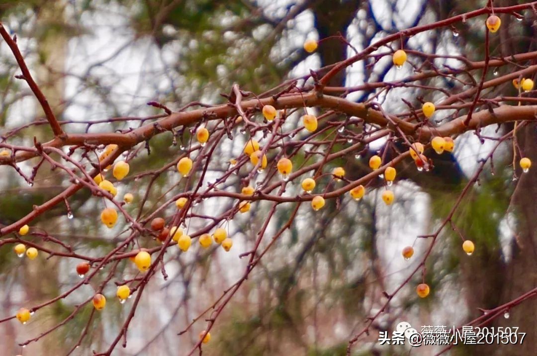 城市漫步,城市漫步郑州