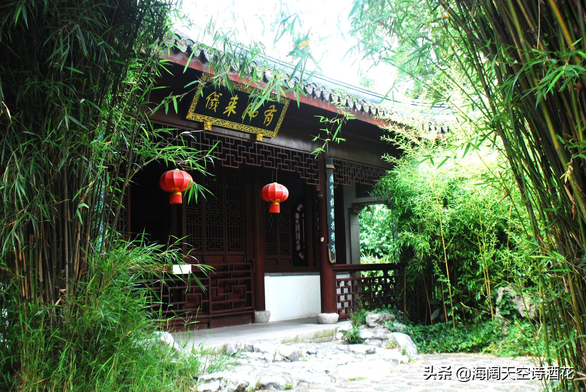 什么样子的竹子才会有竹笋,什么样的竹子才是金丝楠木